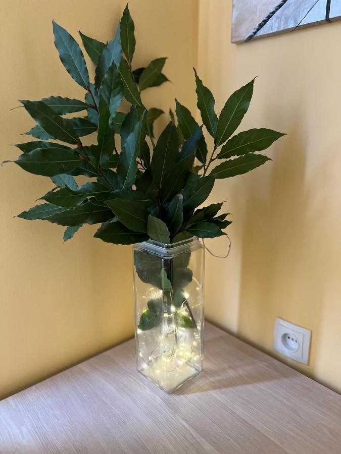 Guest House Gio Kobuleti Zewnętrze zdjęcie